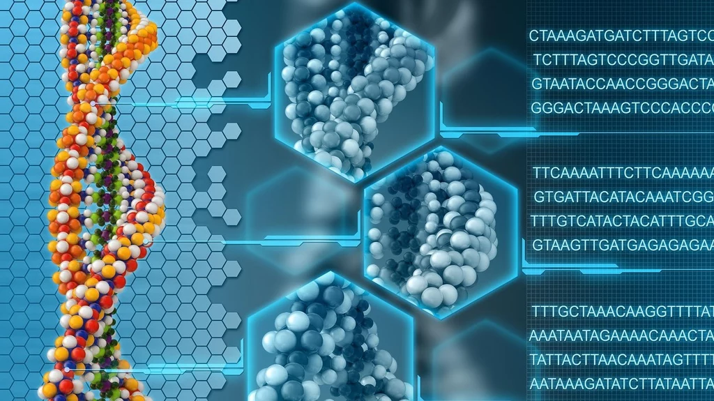 Nasz genom stanie się Internetem 2.0 i przyspieszy rozwój sztucznej inteligencji