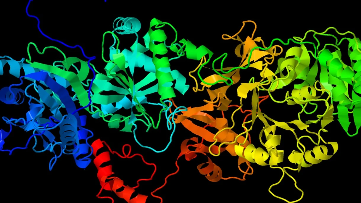 Tak wygląda pierwsza trójwymiarowa struktura molekularna wirusa SARS-CoV-2 Tak wygląda pierwsza trójwymiarowa struktura molekularna wirusa SARS-CoV-2