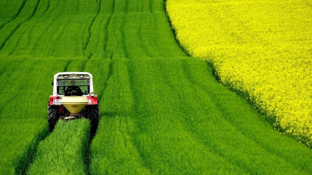 Odwilż kwarantanny a zbiory plonów. Czy Ukraińcy uratują polską gospodarkę?