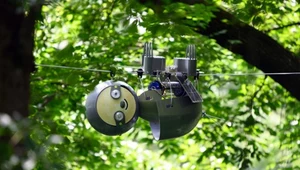 Nadchodzi SlothBot, czyli robo-leniwiec do ratowania ginących gatunków [FILM]