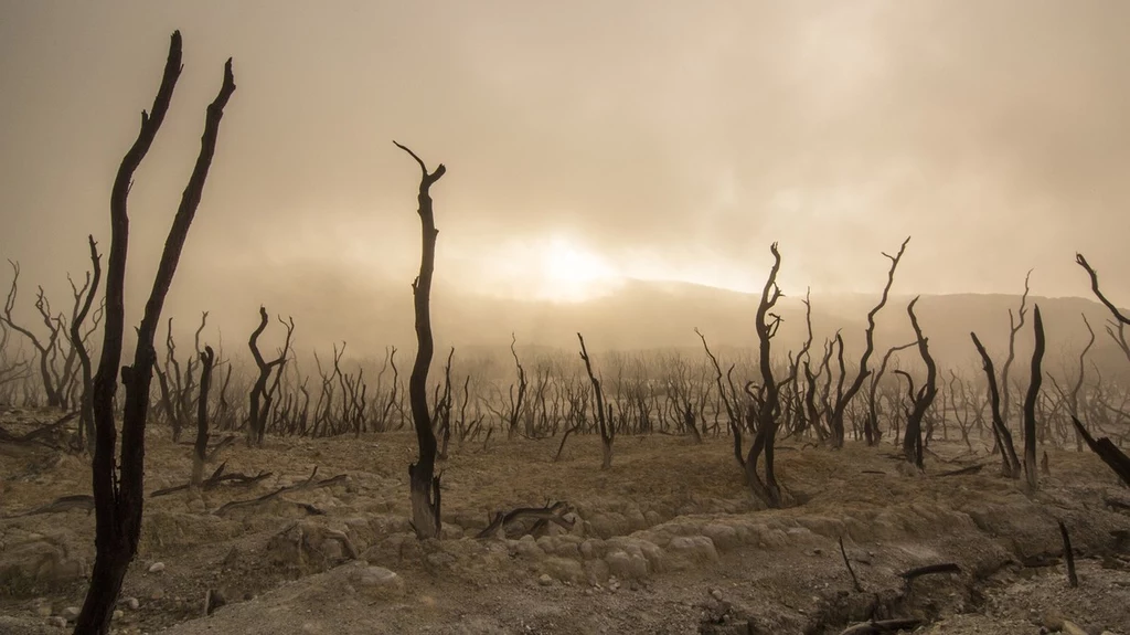 Amazon ogłasza Climate Pledge Fund o wartości 2 mld $ do wsparcia dekarbonizacji