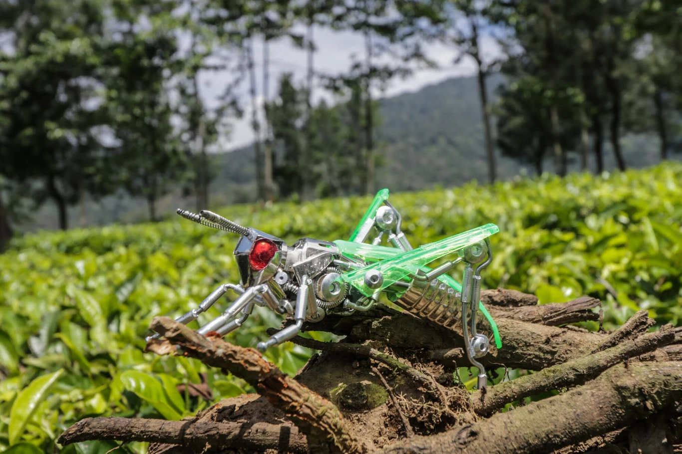 Yusuf z Indonezji tworzy roboty-owady z odpadów