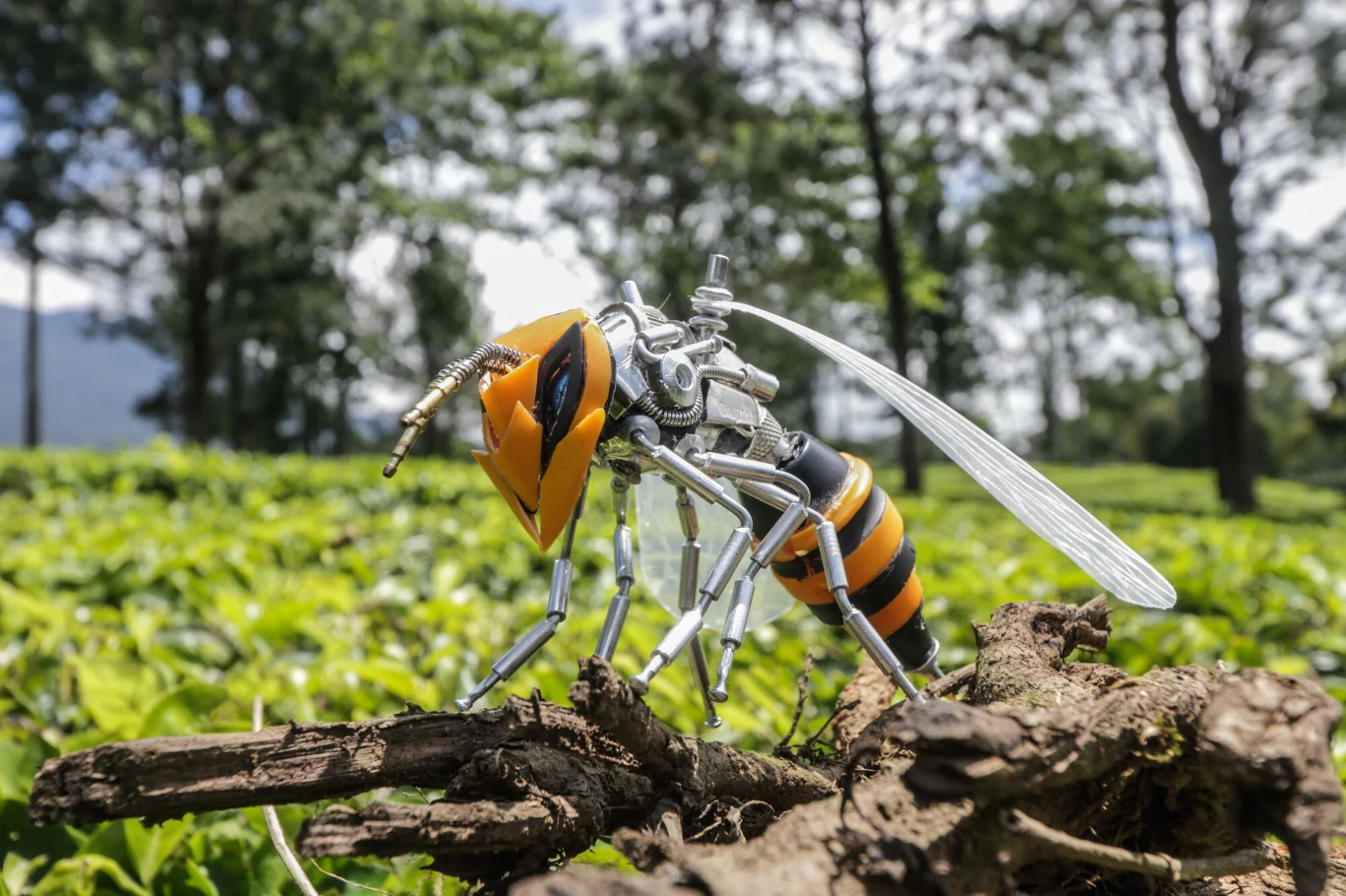 Yusuf z Indonezji tworzy roboty-owady z odpadów