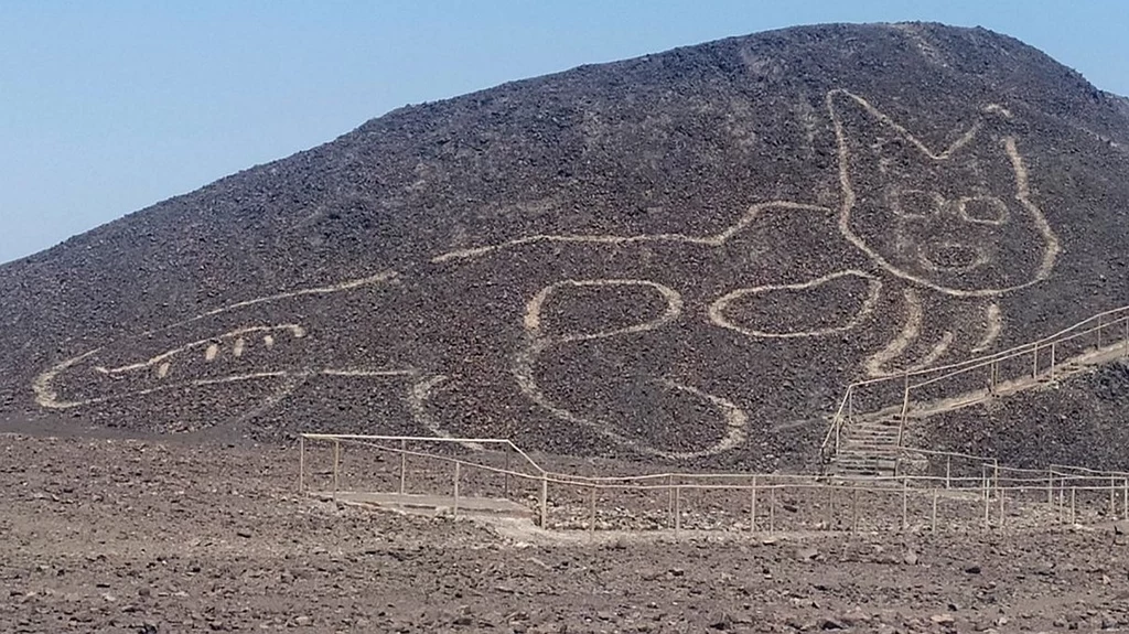 W Nazca odkryto gigantyczny rysunek kota, który liczy sobie 2000 lat [FILM]