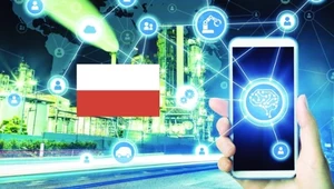 Polska jednym z nielicznych krajów na świecie z najtańszym Internetem światłowodowym