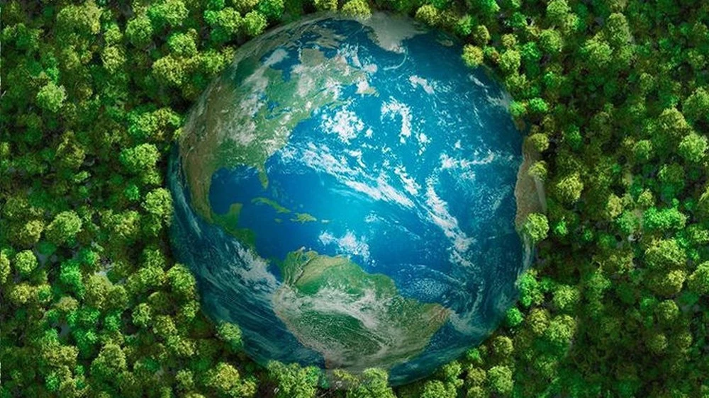 Najbogatszy człowiek ogłosił beneficjentów swojego funduszu klimatycznego Najbogatszy człowiek ogłosił beneficjentów swojego funduszu klimatycznego