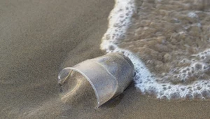 Rowy oceaniczne są najlepszym sposobem na walkę z plastikiem w oceanach