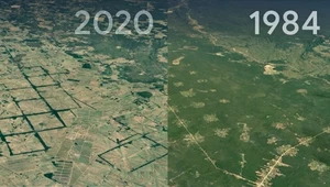 Najnowsze zdjęcia satelitarne ujawniają, jak ludzkość zmienia oblicze Ziemi [WIDEO]