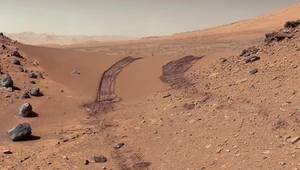 NASA: Łazik Curiosity dokonał wielkiego odkrycia na Marsie. To ślady organizmów?