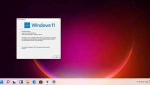 Windows 11 może być darmowy dla użytkowników Windows 7 i 10