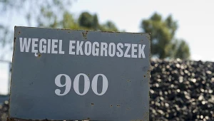 Zaostrza się spór o ekogroszek