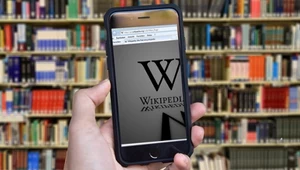 Wikipedia pełna swastyk. To dzieło internetowego wandala, który chciał ją zniszczyć