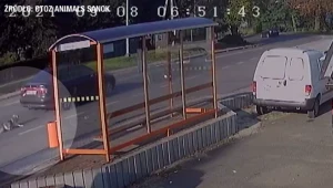 Kobieta ciągnęła psa za samochodem; źródło: Animals Sanok 