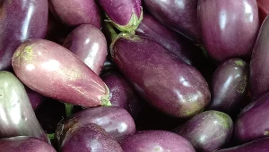 Lepsze krążenie i wolniejsze starzenie. Kolor jedzenia odgrywa kluczową rolę