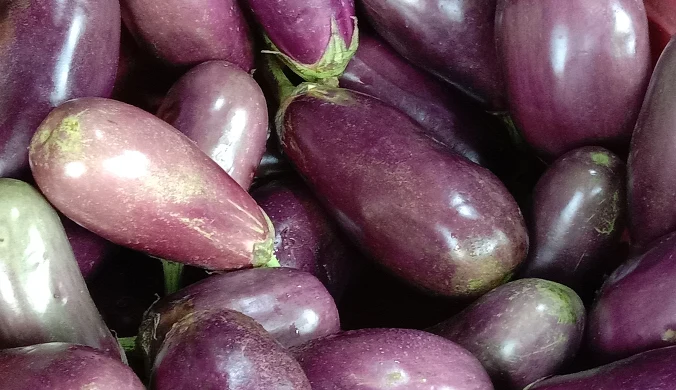 Warto zwiększyć ilość spożywanej fioletowej żywności. Bakłażan to źródło antyoksydantów, witamin z grupy B oraz beta-karotenu