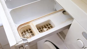 Odwieczny problem Polaków podczas robienia prania. Do czego służy trzecia przegródka w pralce? 