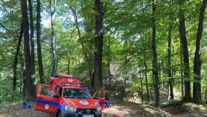 Aby pomóc poszkodowanemu 13-latkowi, ratownicy z Wałbrzycha ruszyli w trudno dostępny teren w Sudetach