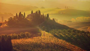 Jesień we własnej winnicy w Toskanii? Tanio nie będzie! (zdj. ilustracyjne)