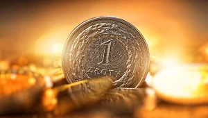 Złoty najsłabszą walutą w regionie. Co dalej?