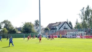 Puszcza Niepołomice - Widzew