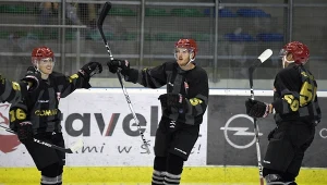 Hokeiści Comarchu Cracovii