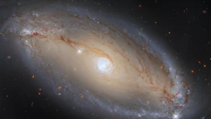 Kosmiczny Teleskop Hubble’a znalazł niezwykłą galaktykę