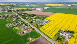 Gmina Baranów, na terenie której planowana jest budowa Centralnego Portu Komunikacyjnego (zdj. ilustracyjne)