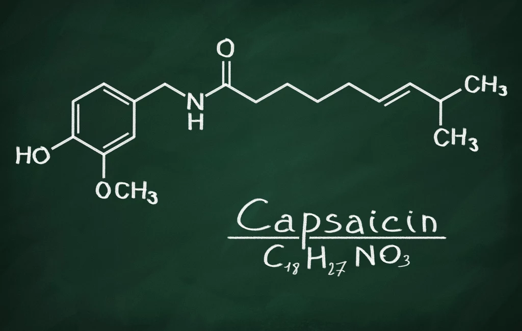 Wzór chemiczny kapsaicyny