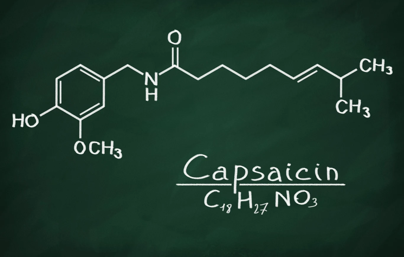Wzór chemiczny kapsaicyny