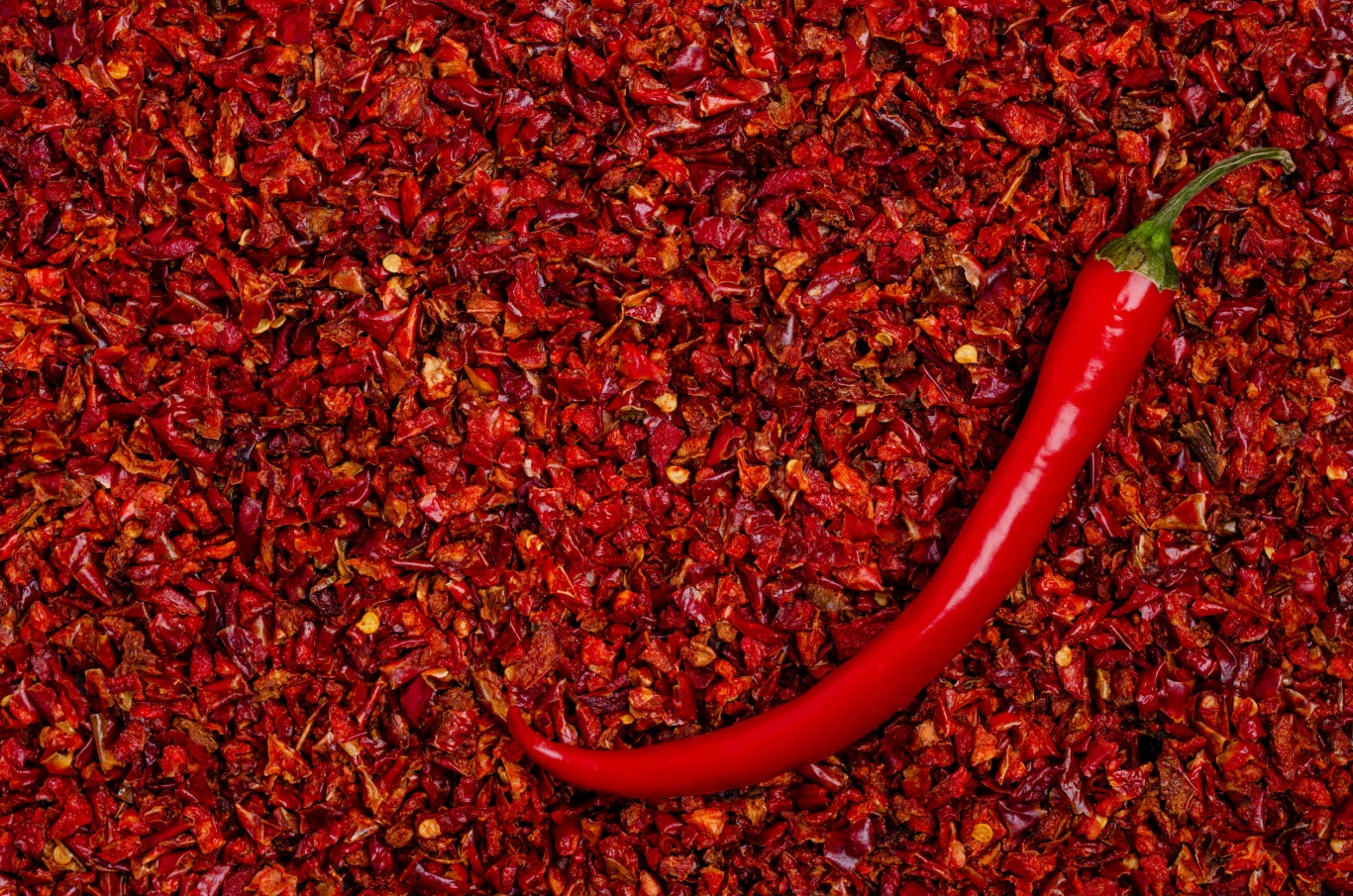 Kapsaicyna jest obecna m.in. w papryczkach chili