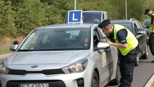 Odpowiedzialność kursanta nauki jazdy - jest większa, niż sądzisz