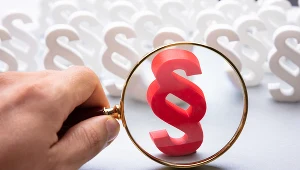 Po uregulowaniu pracy zdalnej mogą ruszyć masowe kontrole PIP