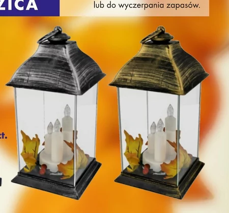 Znicz