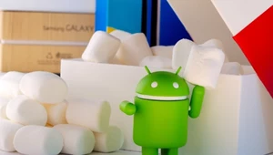 Android 10 najpopularniejszym systemem mobilnym Google