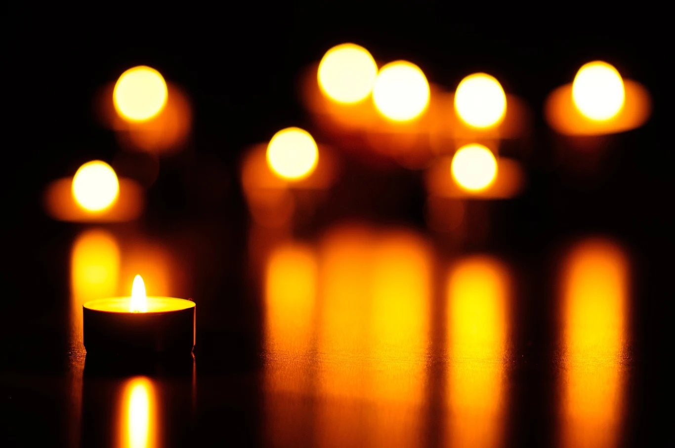 Znicz Wszystkich Świętych 2021 - poznaj oferty ze zniczami i kwiatami z gazetek promocyjnych!