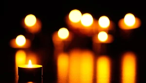 Wszystkich Świętych 2021 - poznaj oferty ze zniczami i kwiatami z gazetek promocyjnych!