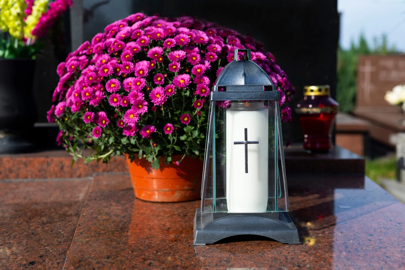 Kwiatom na grób należy zapewnić odpowiednią wilgotność podłoża