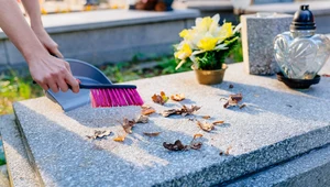 Sprzątanie nagrobków: Jak wyczyścić pomnik, żeby go nie uszkodzić?