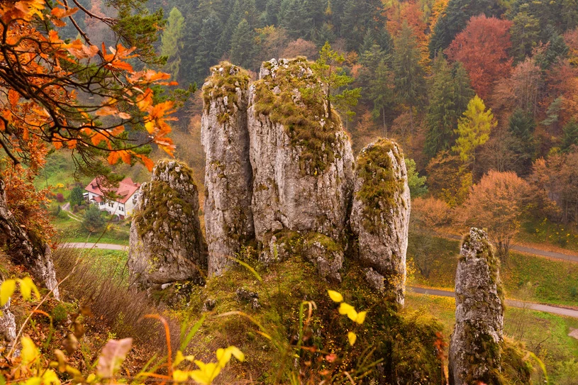 Ojcowski Park Narodowy szczególnie piękny jest jesienią