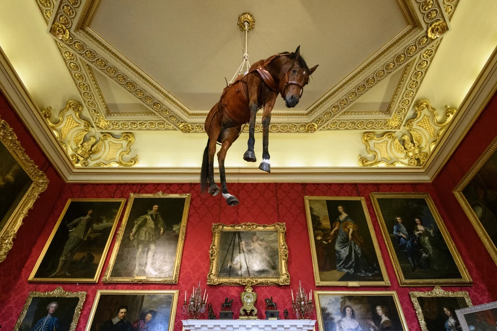 Problem śmierci zwierząt podejmują artyści. Maurizio Cattelana z wypchanym koniem zjeździł całą Europę, był także w Warszawie