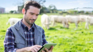 PiS chce radykalnie zwiększyć dochody rolników