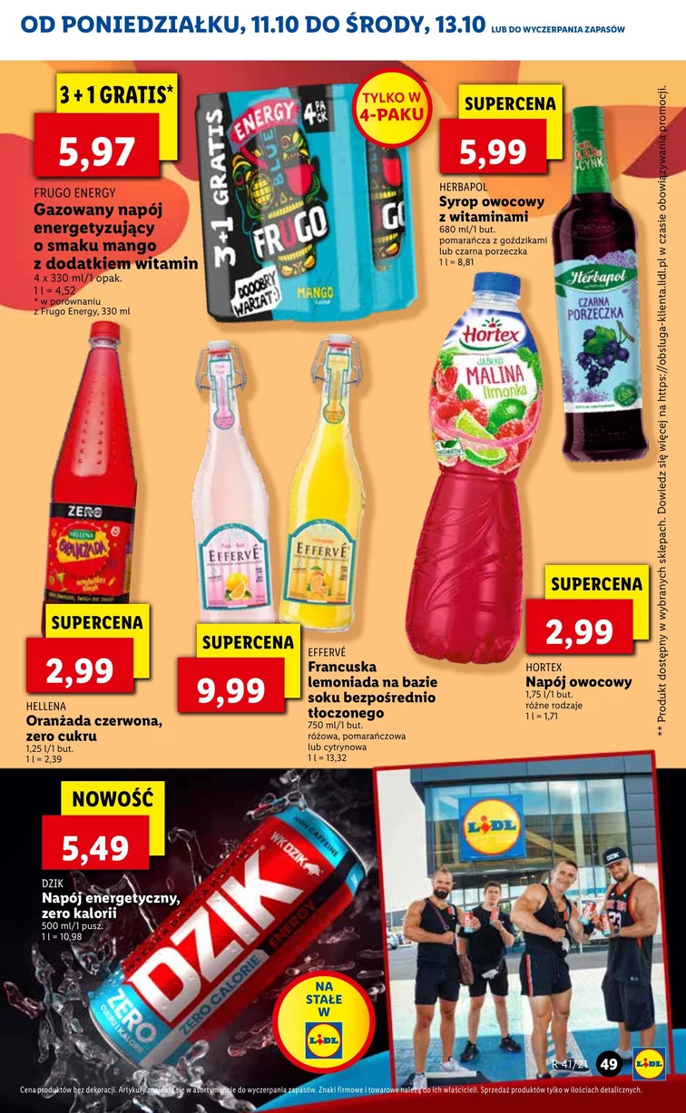 leaflet page preview image