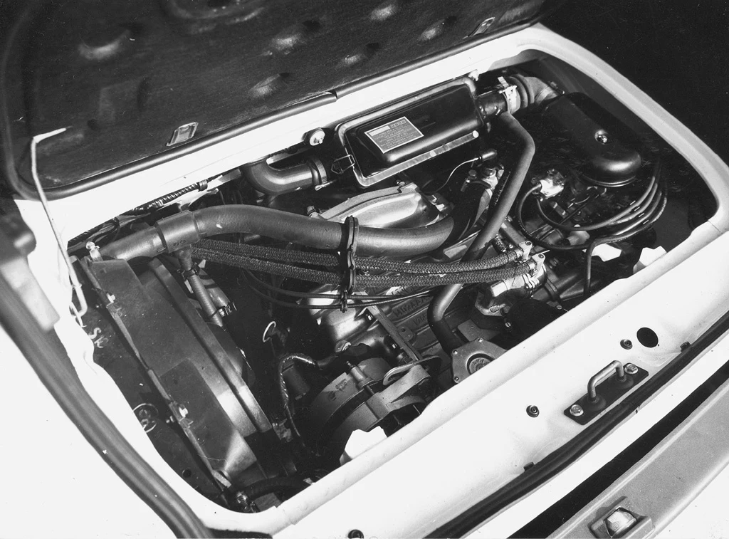 W stosunku do standardowego Fiata 126p największą zaleta Bisa była zdecydowanie większa przestrzeń ładunkowa. Dodatkowy bagażnik pod tylną klapą mieścił pakunki o objętości do 110 l. Oparcie tylnej kanapy można było złożyć, co dodatkowo powiększało przestrzeń na bagaż do 480 l. W sumie kierowca i pasażer (o ile jechali tylko we dwójkę) mieli do wykorzystania ”aż” 535 l – pamiętajmy, że pod maską znajdował się pierwotny bagażnik mieszczący tutaj 55 l (pomniejszony w stosunku do standardowego 126p m.in. o – wpiętą w układ chłodzenia – nagrzewnicę wodną). 