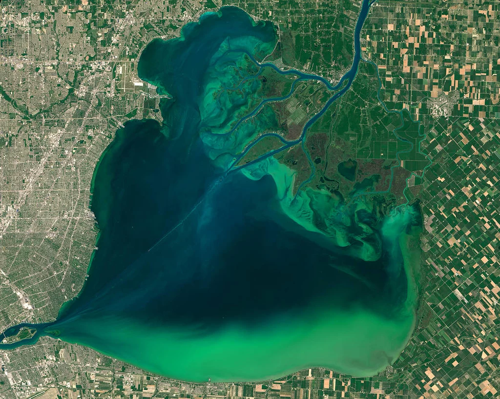 Zakwit fitoplanktonu na jeziorze St . Clair, na granicy USA i Kanady. Fitoplankton to mikroskopijne rośliny oraz sinice 