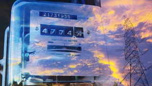 Ceny energii były zamrożone dla firm w 2024 roku