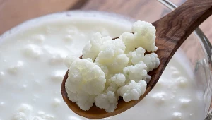 Naturalnym źródłem probiotyków są produkty fermentowane oraz jogurty i kefiry