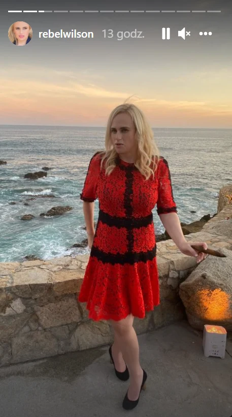 https://www.instagram.com/rebelwilson/?hl=pl