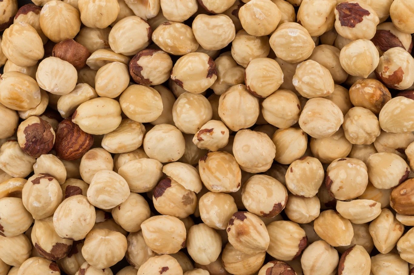 Orzechy laskowe są idealnym wyborem dla sercowców. Jeszcze lepsze będą orzechy włoskie