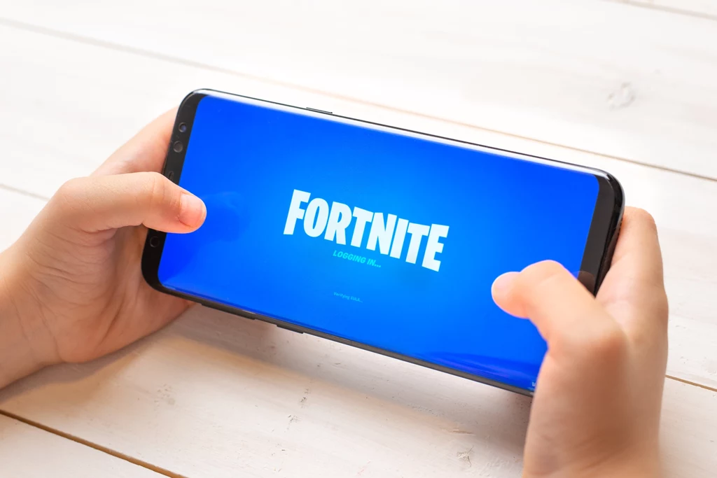 Fortnite