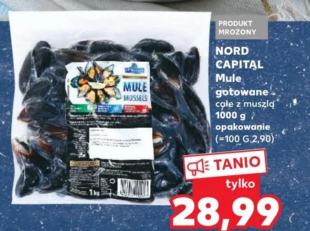 Mule Nord Capital